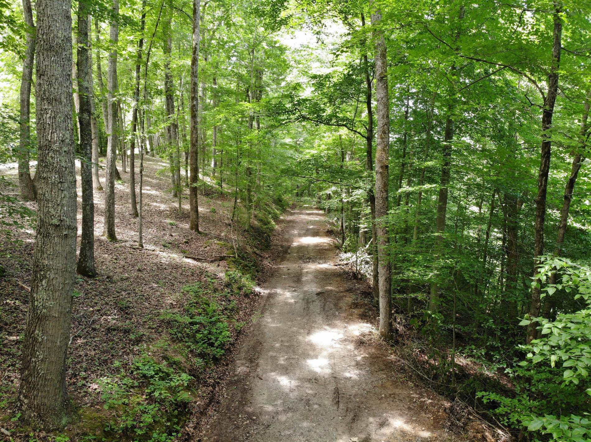 Sally Bottom Road descending through summer hardwoods, Center Hill Lake showing through the trees